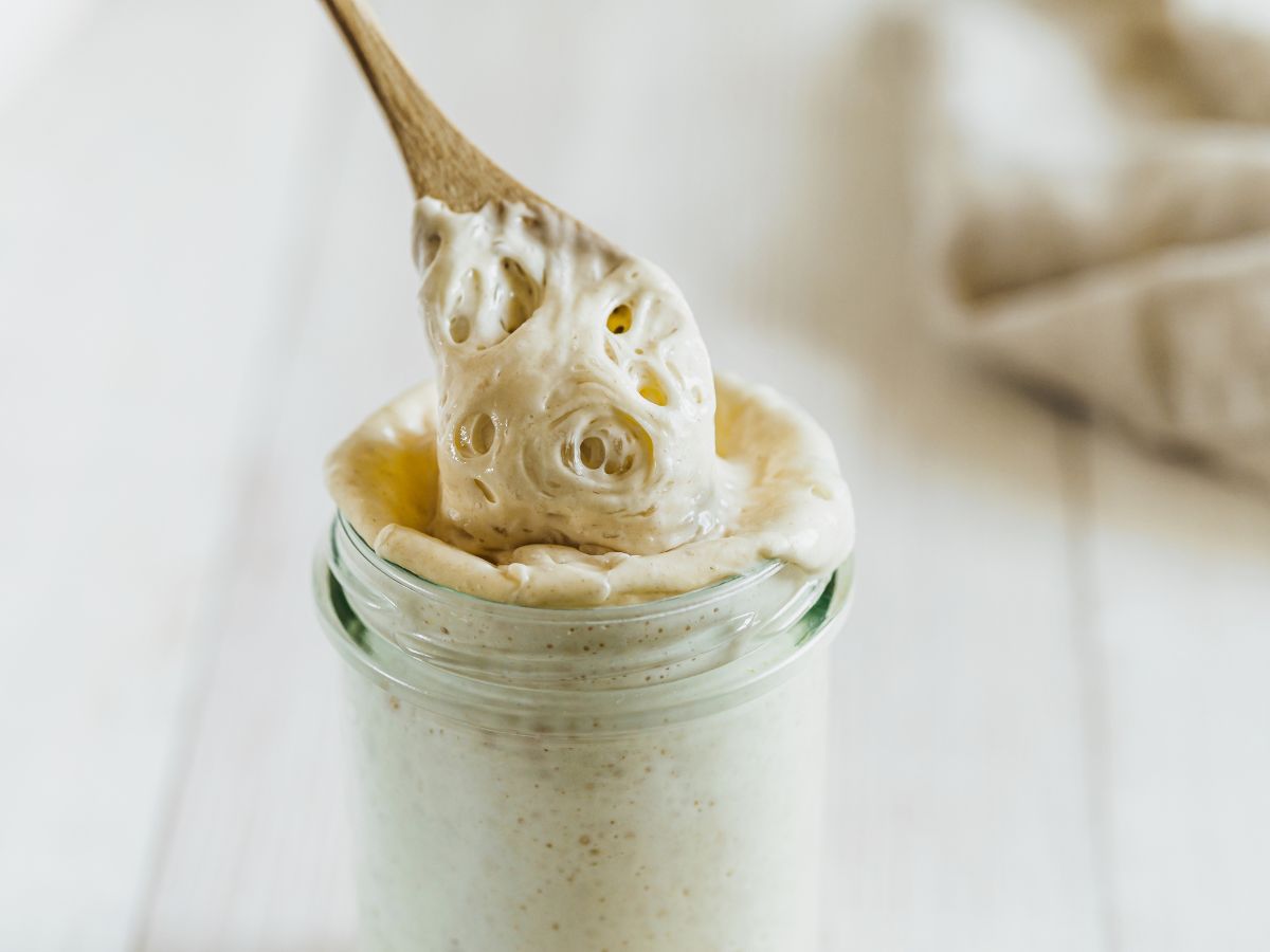 Feeding sourdough starter in jar with wooden spoon to mix