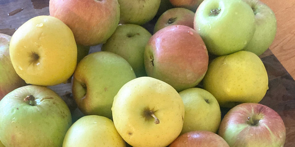 Green and yellow apples on cutting board to make basic apple crisp