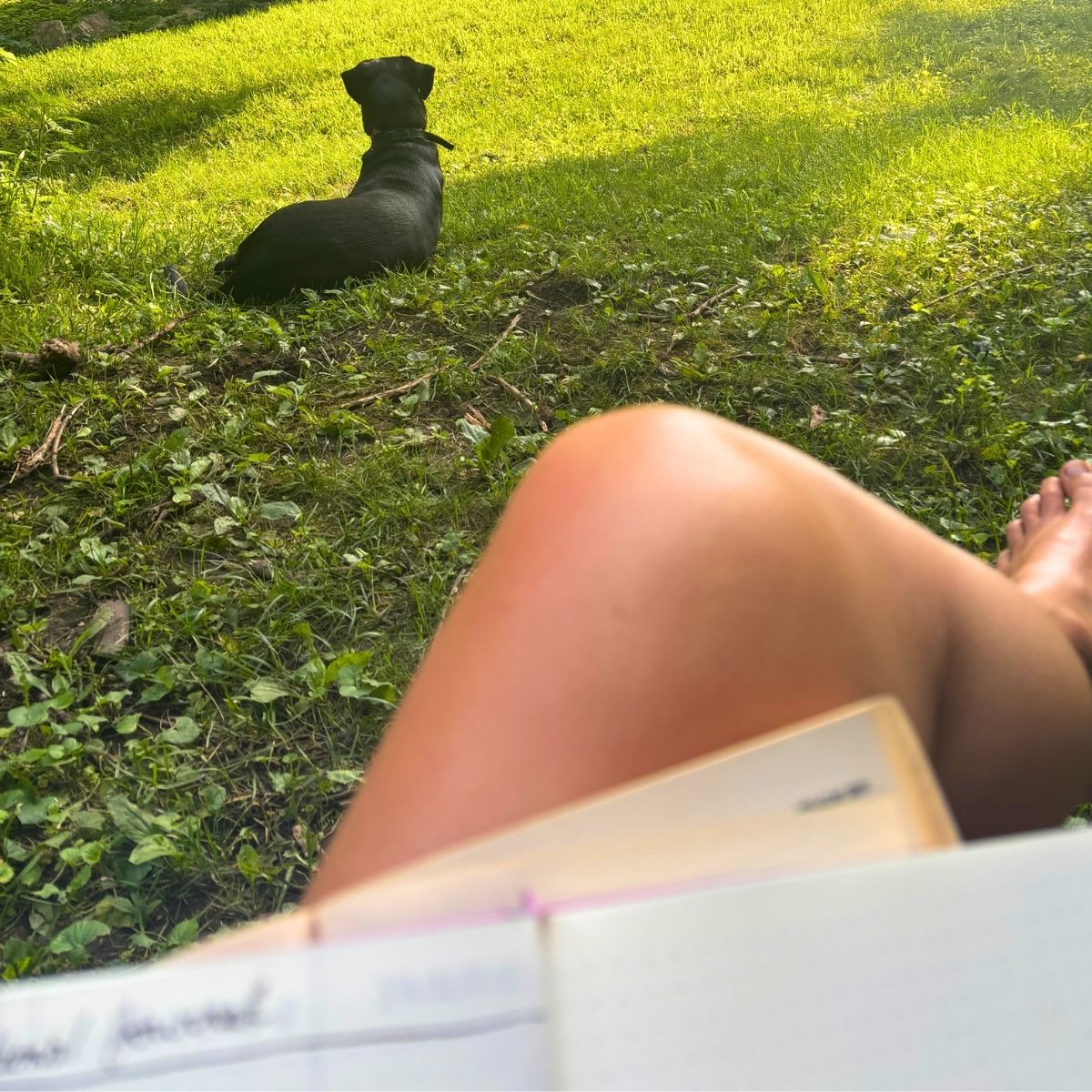leg's of a woman sitting cross-legged with her journal in her lap sitting outside in the grass with a black lab dog at her feet