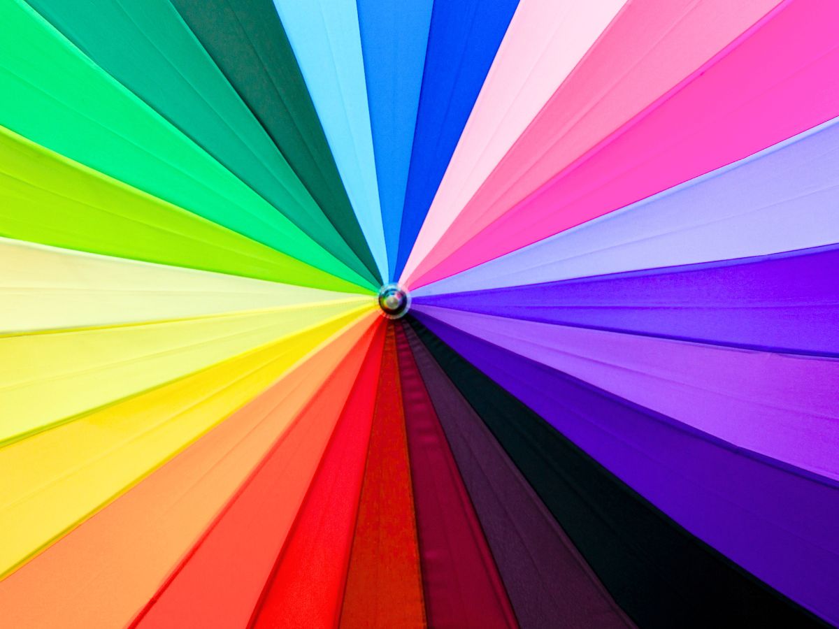 fabric of all different colors of the rainbow assembled in a color wheel