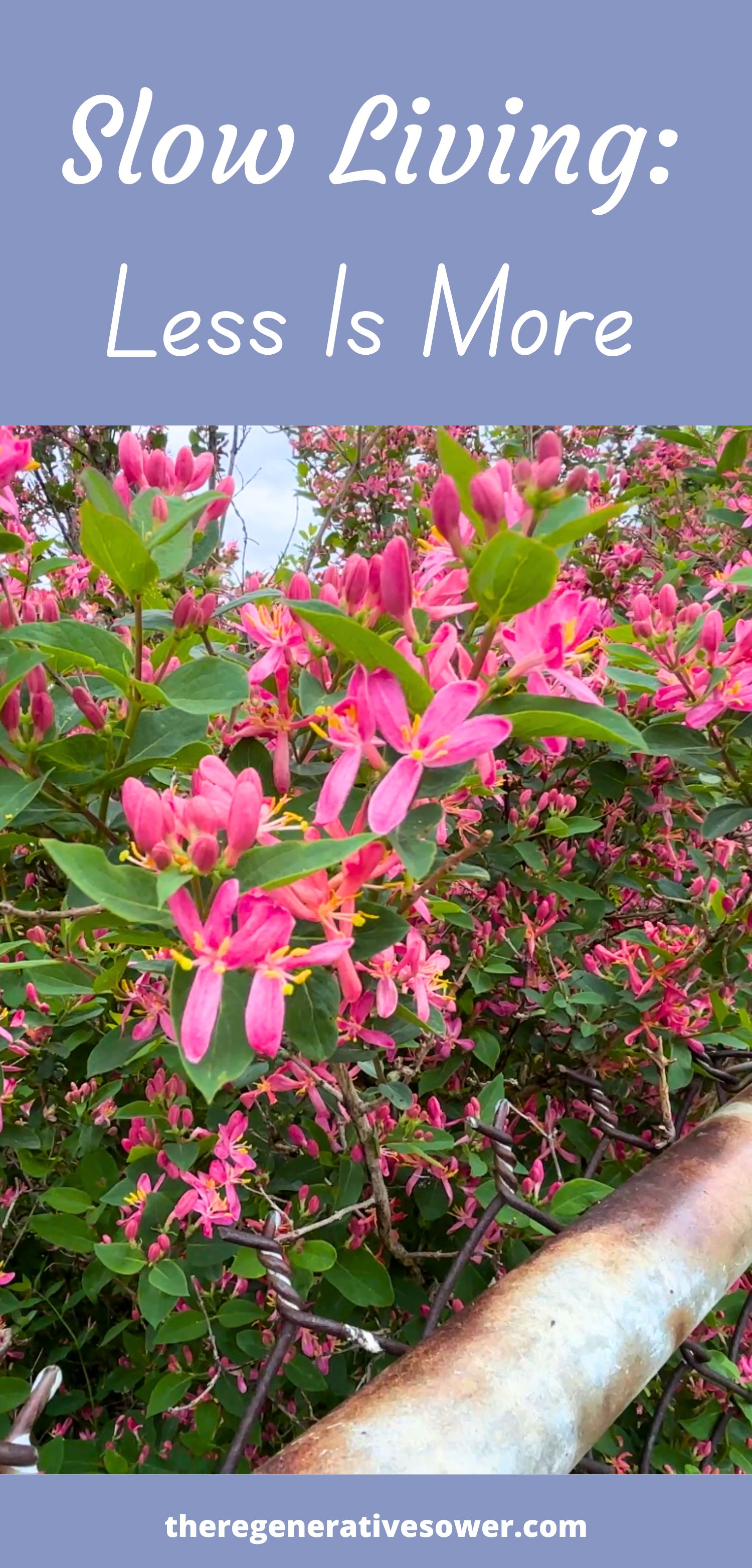 pink flowers blooming in a bush with text slow living less is more theregenerativesower.com