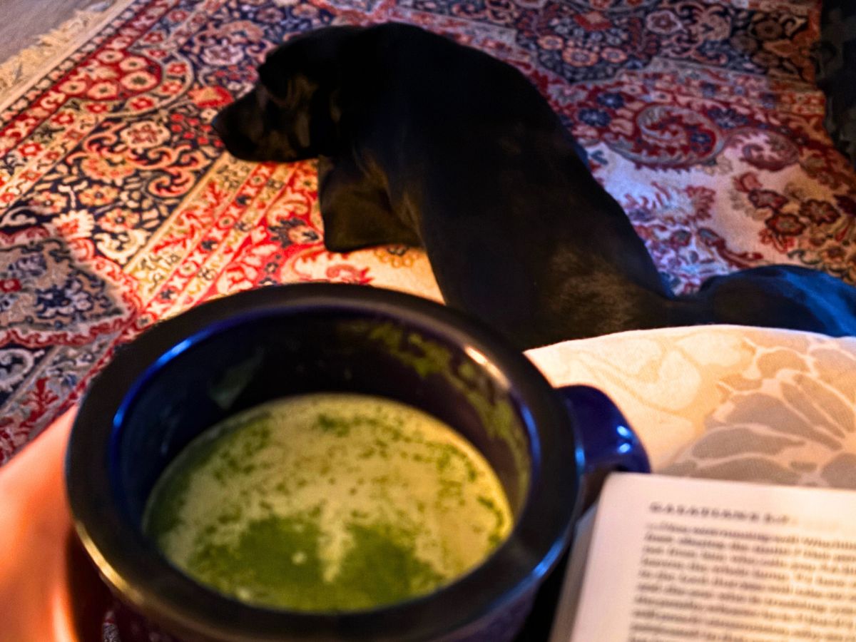 woman practicing slow living by holding a mug of matcha reading a book with a black labrador laying at her feet 